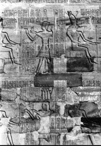 Photo »465« aus dem Edfu-Projekt.