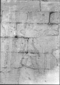 Photo »875« aus dem Edfu-Projekt.