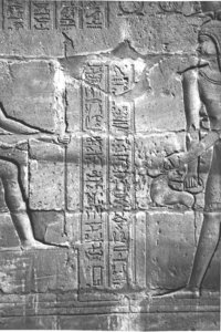 Photo »4300« aus dem Edfu-Projekt.