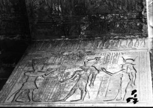 Photo »584« of the Edfu-Project.