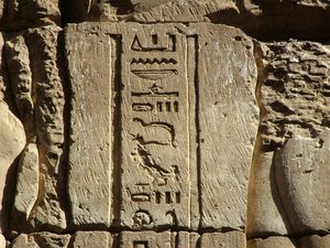 Photo »D05_0788« aus dem Edfu-Projekt.