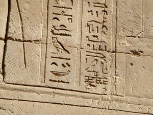 Photo »D05_1656« aus dem Edfu-Projekt.