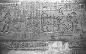 Photo »1153« aus dem Edfu-Projekt.