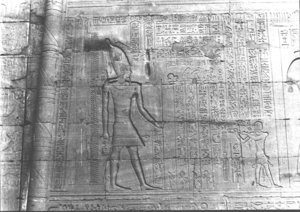 Photo »2782« aus dem Edfu-Projekt.