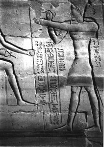 Photo »3980« aus dem Edfu-Projekt.
