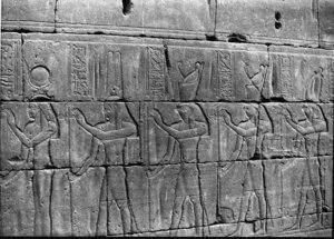 Photo »3680« of the Edfu-Project.