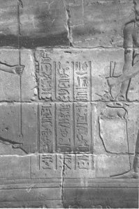 Photo »4089« aus dem Edfu-Projekt.