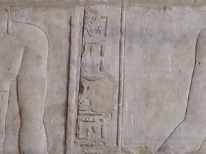 Photo »D05_6356« of the Edfu-Project.