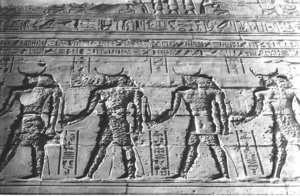 Photo »1128« aus dem Edfu-Projekt.