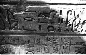Photo »1175« aus dem Edfu-Projekt.