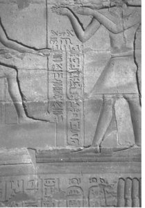 Photo »4345« of the Edfu-Project.