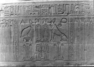 Photo »2034« aus dem Edfu-Projekt.