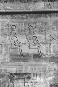 Photo »4419« aus dem Edfu-Projekt.