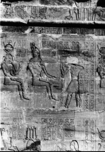 Photo »478« aus dem Edfu-Projekt.