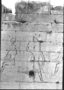 Photo »973« of the Edfu-Project.