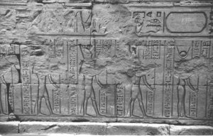 Photo »1087« aus dem Edfu-Projekt.