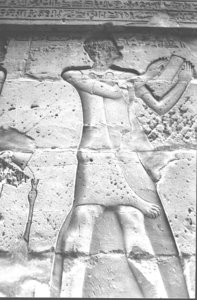 Photo »1326« aus dem Edfu-Projekt.