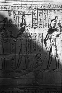 Photo »1365« aus dem Edfu-Projekt.