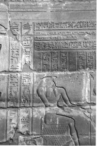 Photo »4077« aus dem Edfu-Projekt.