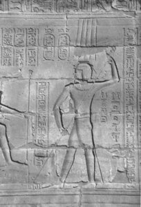 Photo »4411« aus dem Edfu-Projekt.