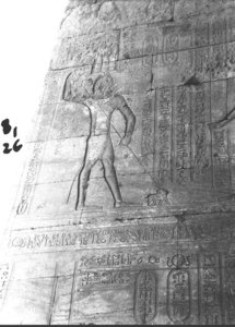 Photo »543« of the Edfu-Project.