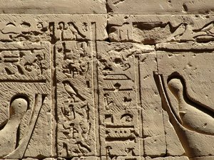 Photo »D05_2358« aus dem Edfu-Projekt.