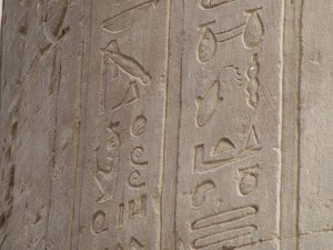 Photo »D05_6981« of the Edfu-Project.