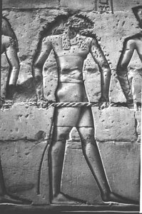 Photo »1277« aus dem Edfu-Projekt.