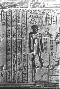 Photo »1344« aus dem Edfu-Projekt.