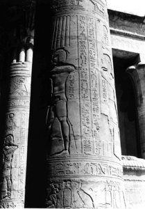 Photo »1629« of the Edfu-Project.