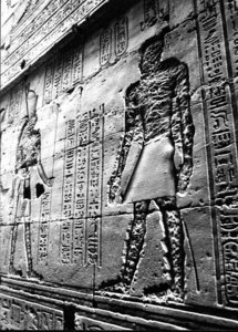 Photo »2964« aus dem Edfu-Projekt.