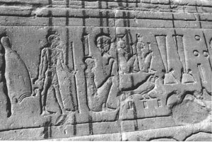 Photo »3926« aus dem Edfu-Projekt.