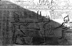 Photo »1202« aus dem Edfu-Projekt.