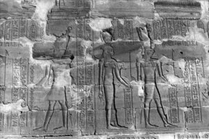 Photo »293« aus dem Edfu-Projekt.