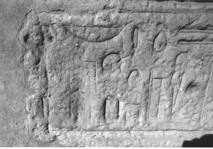 Photo »3774« aus dem Edfu-Projekt.