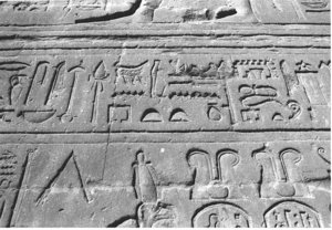 Photo »3795« aus dem Edfu-Projekt.
