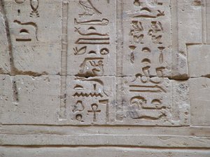 Photo »D05_3554« aus dem Edfu-Projekt.