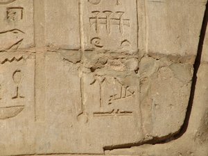 Photo »D05_5855« of the Edfu-Project.