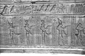 Photo »1079« aus dem Edfu-Projekt.