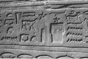Photo »3919« aus dem Edfu-Projekt.