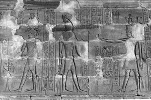 Photo »295« aus dem Edfu-Projekt.