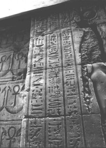Photo »3618« aus dem Edfu-Projekt.