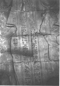 Photo »4036« aus dem Edfu-Projekt.