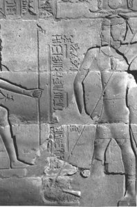 Photo »4100« aus dem Edfu-Projekt.