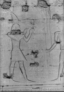 Photo »736« of the Edfu-Project.