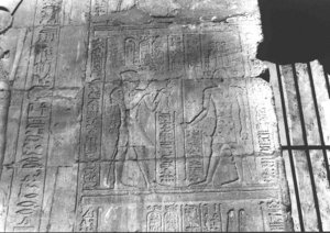 Photo »2708« aus dem Edfu-Projekt.