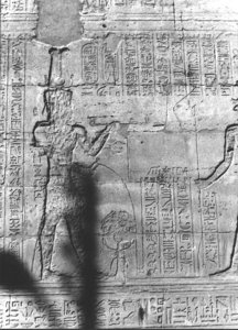 Photo »2807« aus dem Edfu-Projekt.