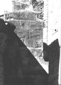 Photo »3538« aus dem Edfu-Projekt.