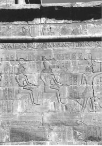 Photo »4307« aus dem Edfu-Projekt.