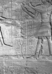Photo »4383« of the Edfu-Project.